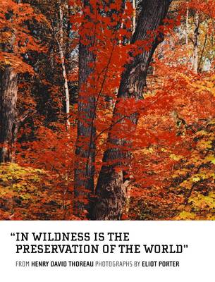 Book cover for In Wildness is the Preservation of the World