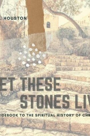 Cover of Let These Stones Live
