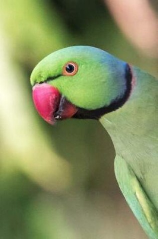 Cover of Rose-ringed Parakeet (Psittacula Krameri) Bird Journal