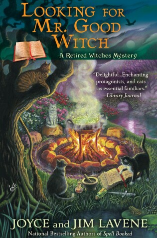 Cover of Looking for Mr. Good Witch