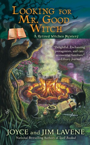 Book cover for Looking for Mr. Good Witch