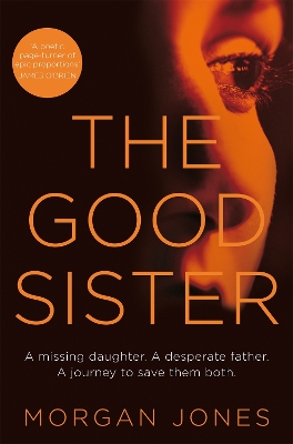 Book cover for The Good Sister