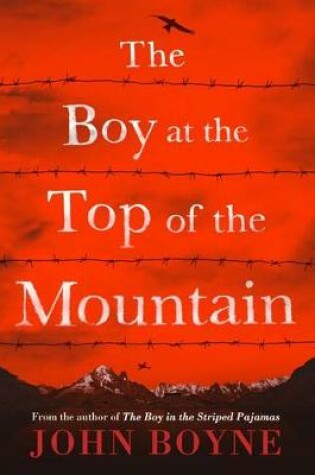 Cover of The Boy at the Top of the Mountain