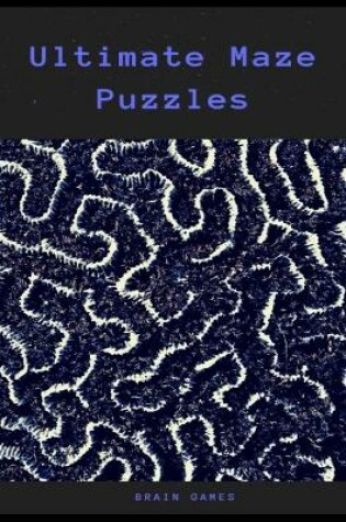 Cover of Ultimate Maze Puzzles