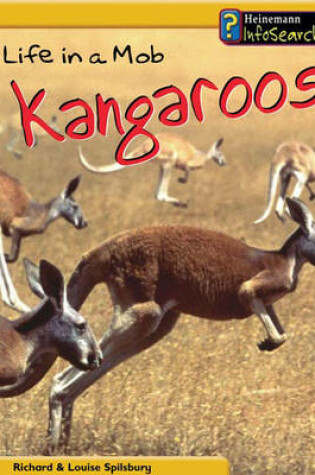 Cover of Animal Groups: Life in a Mob of Kangaroos