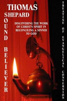 Book cover for The Sound Believer