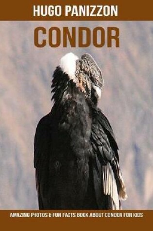 Cover of Condor