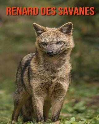 Book cover for Renard des Savanes