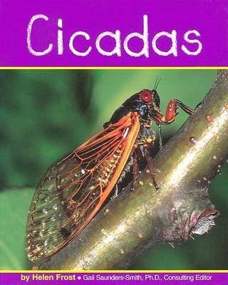 Book cover for Cicadas