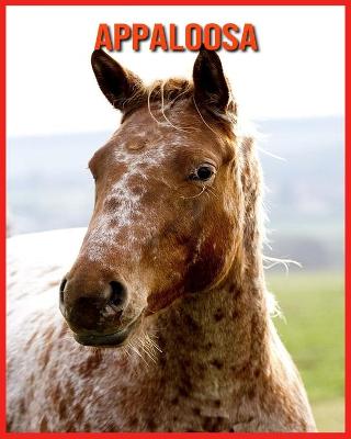 Book cover for Appaloosa