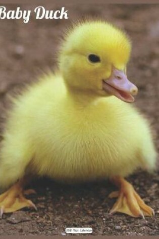 Cover of Cute Baby Duck 2021 Calendar