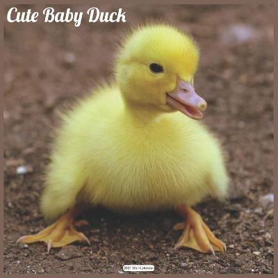 Book cover for Cute Baby Duck 2021 Calendar