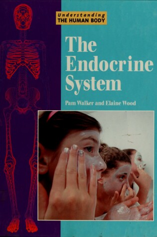 Cover of The Endocrine System