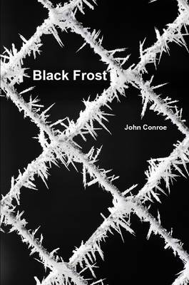 Book cover for Black Frost