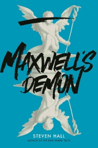 Cover of Maxwell's Demon