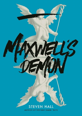 Book cover for Maxwell's Demon