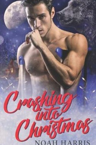 Cover of Crashing Into Christmas