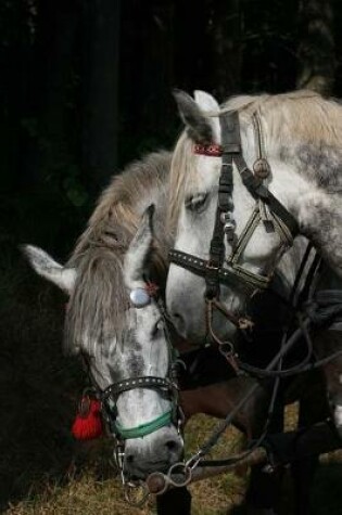 Cover of Team of Two Dapple Gray Horses Portrait Journal