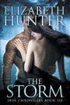 Book cover for The Storm