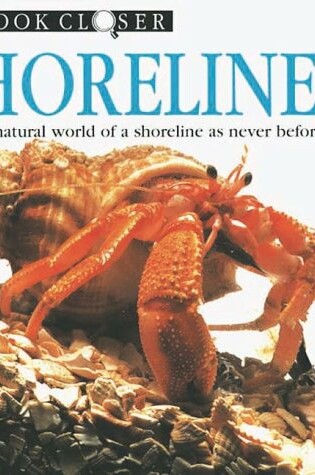 Cover of Shoreline