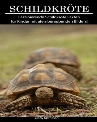 Book cover for Schildkröte