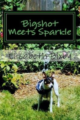 Cover of Bigshot Meets Sparkle