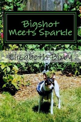 Book cover for Bigshot Meets Sparkle