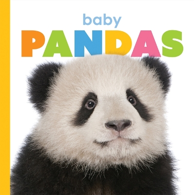 Book cover for Baby Pandas