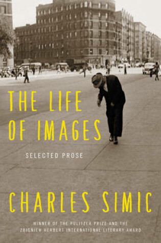 Cover of The Life of Images