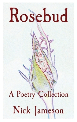 Book cover for Rosebud