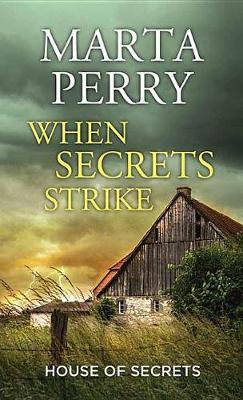 Book cover for When Secrets Strike