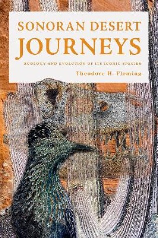 Cover of Sonoran Desert Journeys