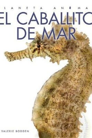 Cover of El Caballito de Mar