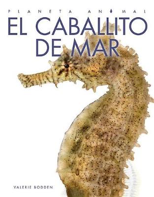 Book cover for El Caballito de Mar