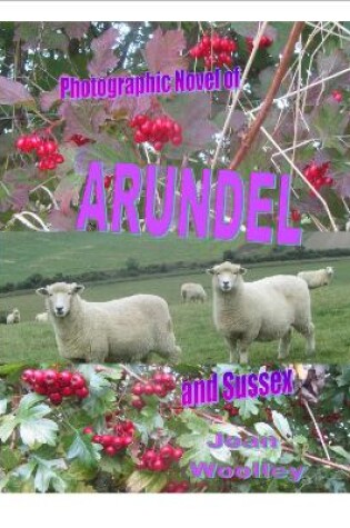 Cover of Photographic Novel of Arundel and Sussex