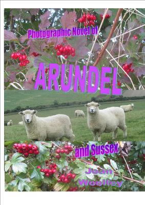 Book cover for Photographic Novel of Arundel and Sussex