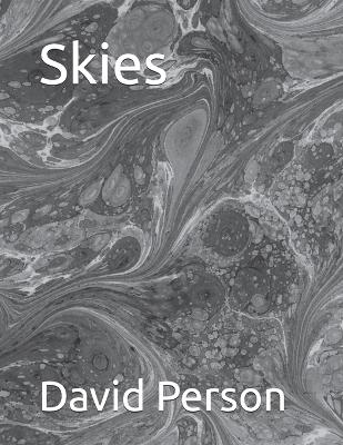 Book cover for Skies