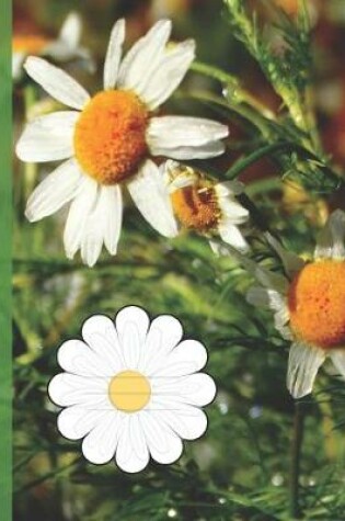 Cover of Cute Girly Daisy Wildflowers in Colorado Wide-ruled School Composition Lined Notebook