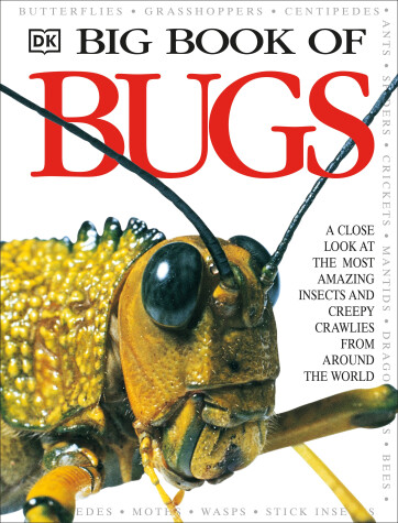 Cover of Big Book of Bugs