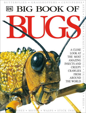 Cover of Big Book of Bugs