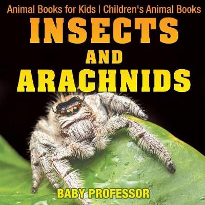 Book cover for Insects and Arachnids