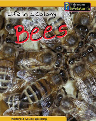 Book cover for Life in a Colony of Bees