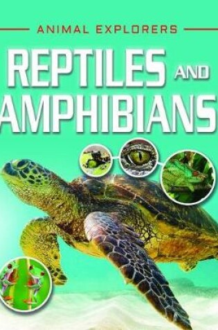 Cover of Reptiles and Amphibians