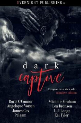 Cover of Dark Captive