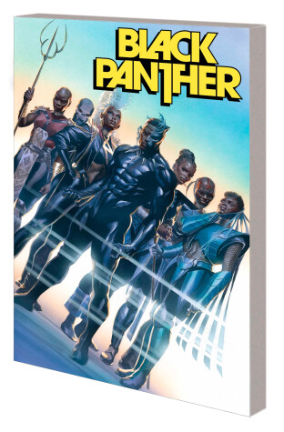Book cover for Black Panther by John Ridley Vol. 2