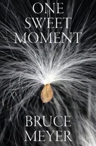 Cover of One Sweet Moment