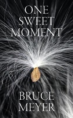 Book cover for One Sweet Moment