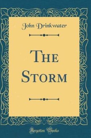 Cover of The Storm (Classic Reprint)