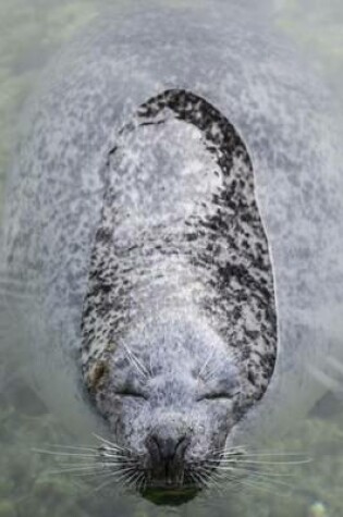 Cover of A Seal Enjoying a Swim Journal