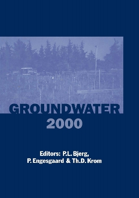 Cover of Groundwater 2000